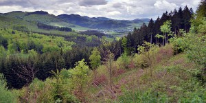 Das Sauerland bei Olsberg