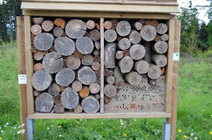 Insektenhotel
