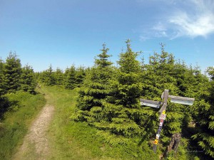 Wanderweg am Langenberg