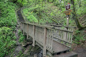 Brücke in einem Tal bei Winterberg