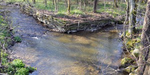 Mündung der Gröne in die Hille