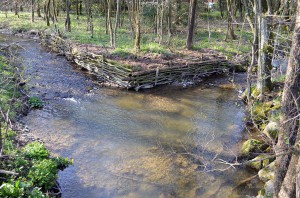 Mündung der Gröne in die Hille