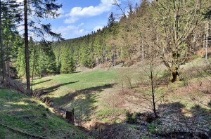 Tal bei Hildfeld