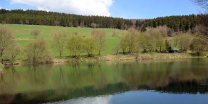 Fischteich unterhalb des Clemensbergs