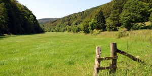 Landschaft im Hochsauerland