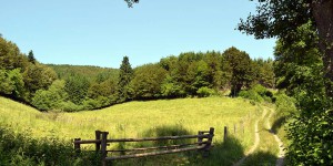 Landschaft bei Willingen