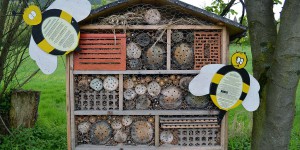 Insektenhotel