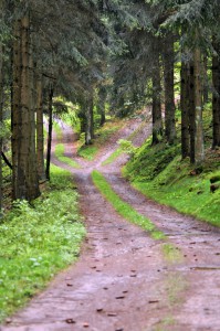 Wanderweg