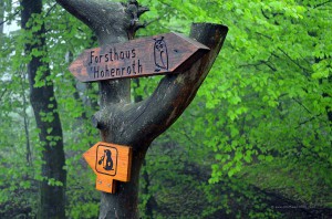 Wanderweg zum Forsthaus Hohenroth