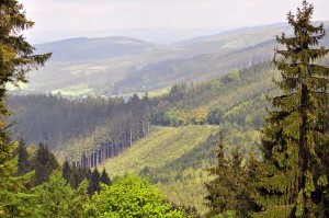 Ausblick über das Sauerland