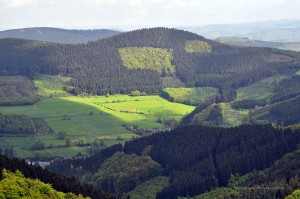 Landschaft bei Oberhundem