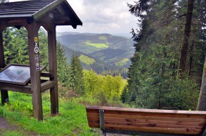 Blick vom Rothaarsteig