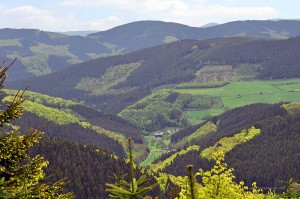 Wanderweg auf den Härdler