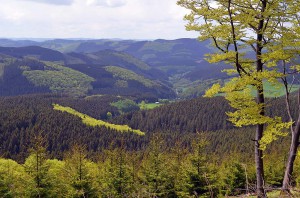 Aussicht am Härdler