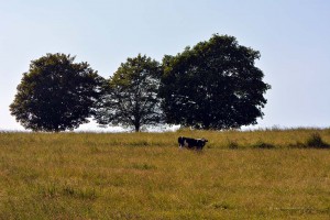 Sauerländische Landschaft