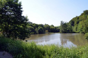 Teich bei Hanxleden