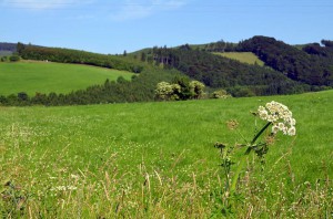 Landschaft bei Kirchrarbach