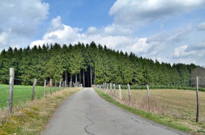 Wanderweg
