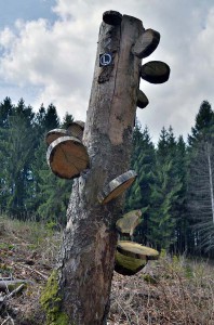 Kunst