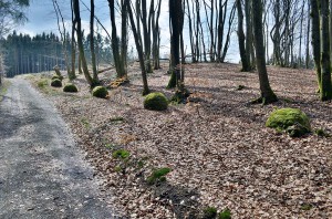 Kunst am Wegesrand
