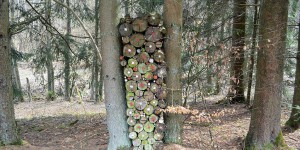 Gestapeltes Holz