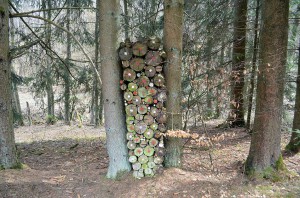 Gestapeltes Holz