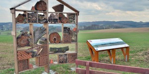 Insektenhotel und Aussichtspunkt