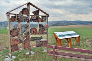 Insektenhotel und Aussichtspunkt