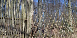 Zaun auf dem Kurfüstlichen Thiergartenwanderweg