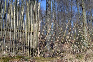 Zaun auf dem Kurfüstlichen Thiergartenwanderweg