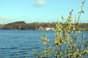 Möhnesee