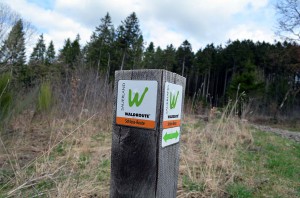 Logo der Waldroute im Sauerland