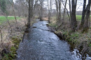 Der Fluss Glenne