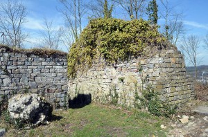 Ruine der Rüdenburg in Arnsberg