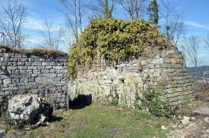 Ruine der Rüdenburg in Arnsberg