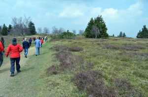 Heide am Kahlen Asten