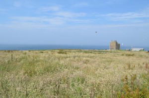 Farne Islands