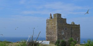 Farne Islands