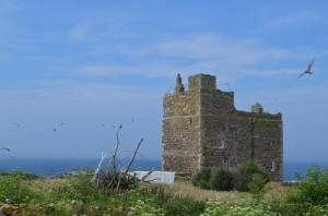 Farne Islands