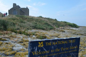 Farne Islands gehören zum National Trust