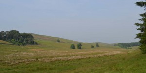 Landschaft in Northumberland