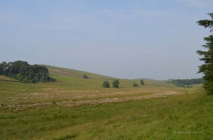 Landschaft in Northumberland