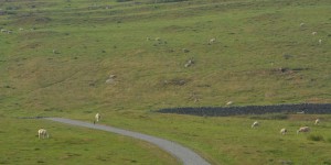 Landschaft in Northumberland