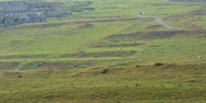 Landschaft in Northumberland