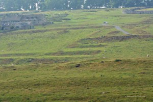 Landschaft in Northumberland