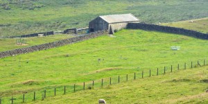 Hadrians Wall