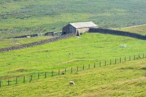 Hadrians Wall