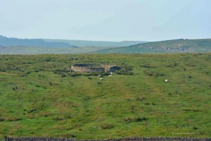 Landschaft in Northumberland