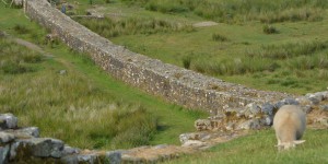 Hadrians Wall