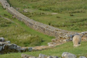Hadrians Wall